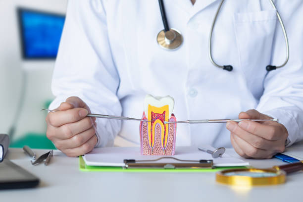 Best Emergency Dental Care for Broken or Chipped Teeth in Lampeter, PA
